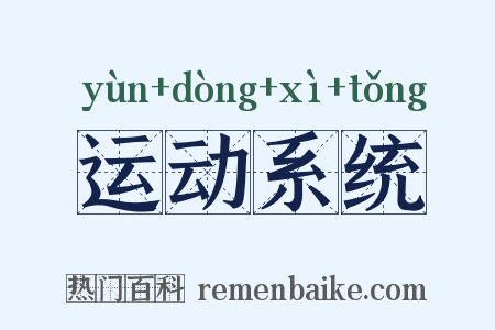 运动系统是什么意思的图片